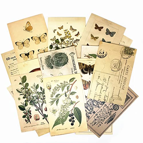 Amazon | Koolemon ビンテージテーマポストカードセット 30枚 DIY